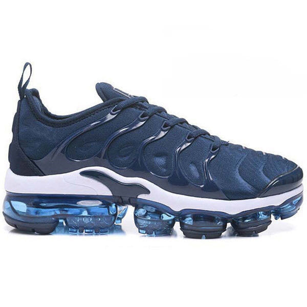 Vapormax plus White Blue running shoes Men